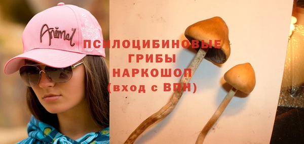 первитин Баксан