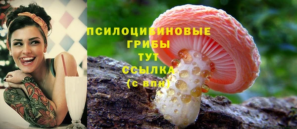 мяу мяу мука Белоозёрский