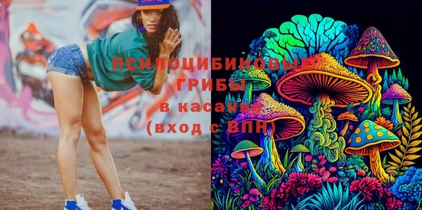 мяу мяу мука Белоозёрский