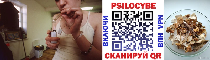 Купить закладки Котовск Псилоцибиновые грибы MAGIC MUSHROOMS