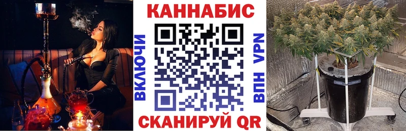 МАРИХУАНА THC 21%  Купить закладки  Котовск 